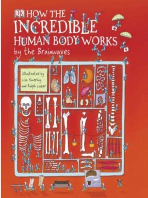 How the Incredible Human Body Works Cover