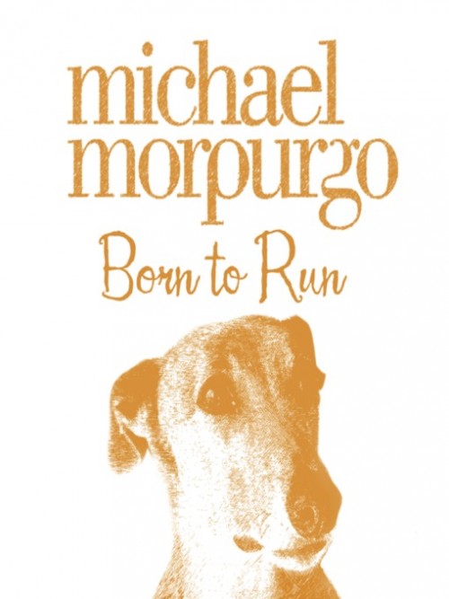 Born To Run Cover