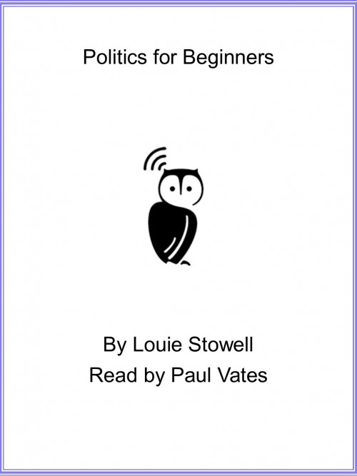 Politics For Beginners Cover