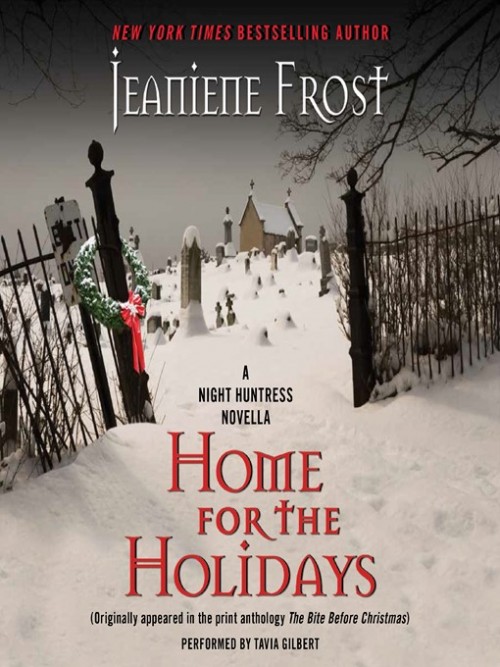 Night Huntress Book 6.5: Home For the Holidays Cover