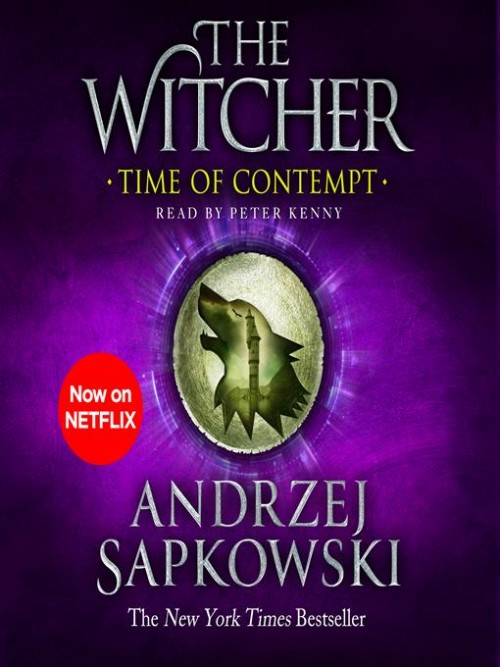 The Witcher Book 4: Time of Contempt Cover