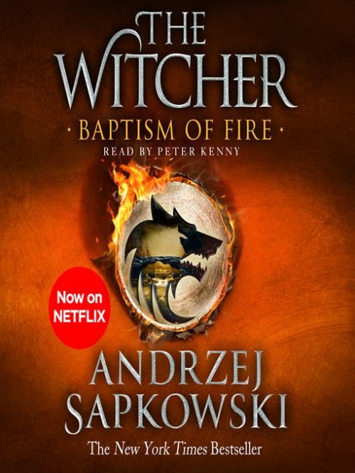 The Witcher Book 5: Baptism of Fire Cover