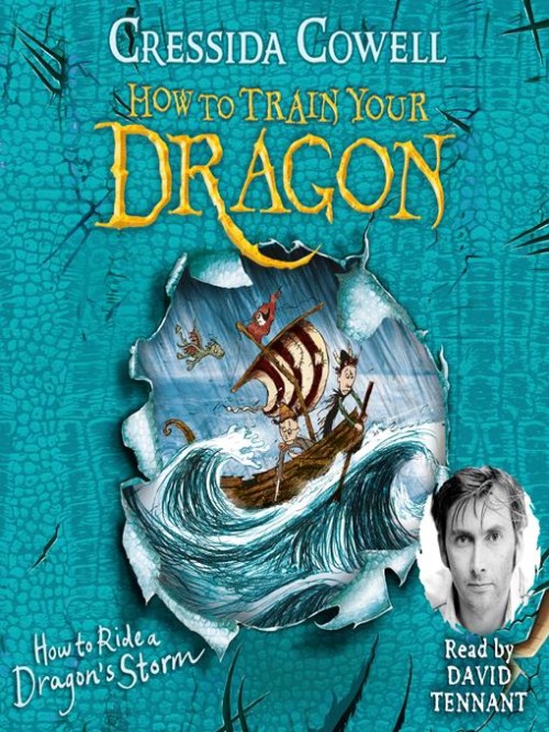 How To Ride a Dragon's Storm Cover
